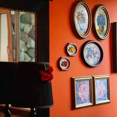 Апартаменты Z Widokiem *